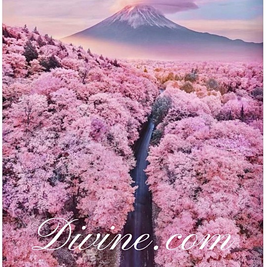 Mountains with Divine.com